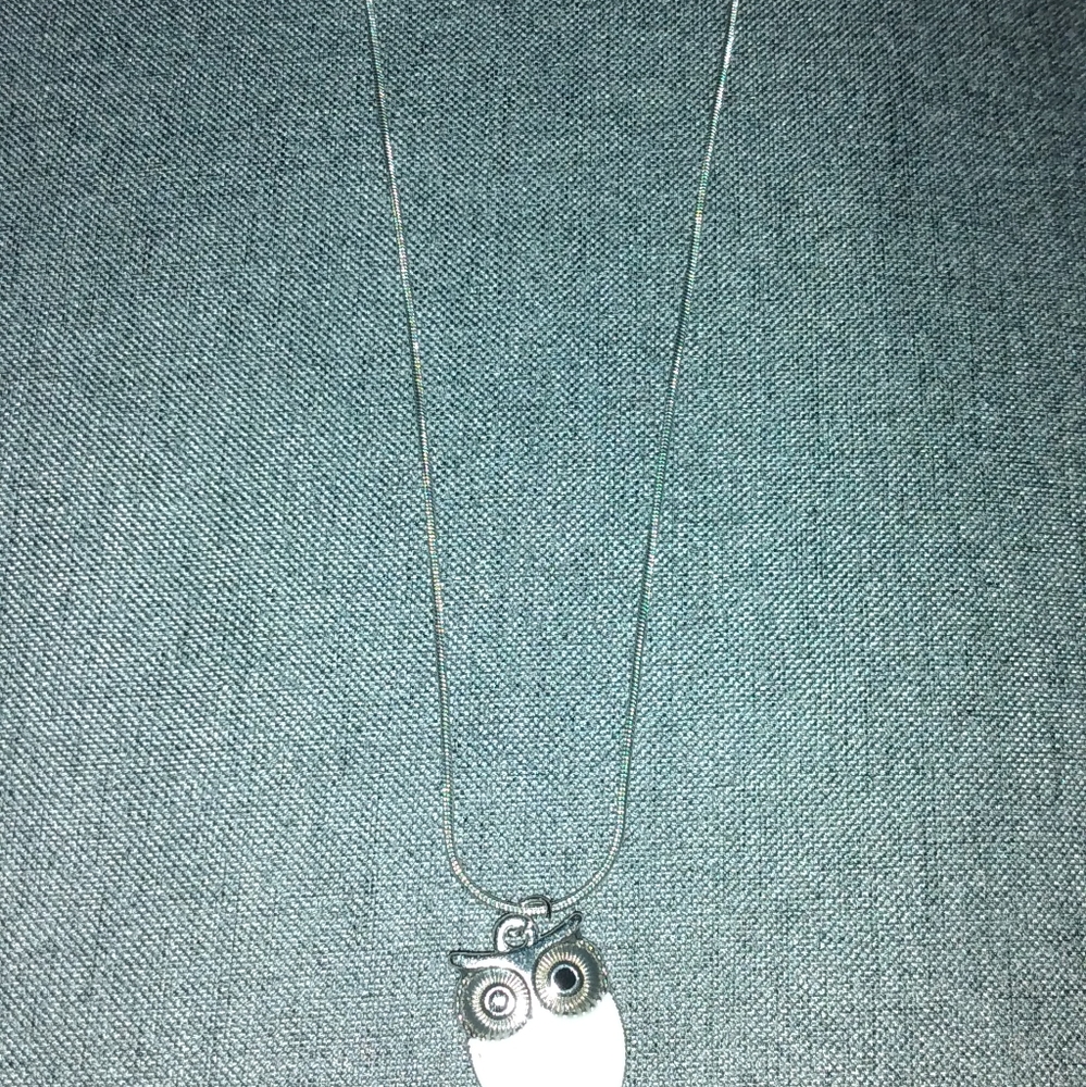 Pretty silver white owl necklace.